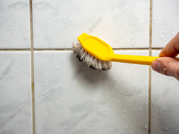 Best Local Mold Removal Service  in Chadbourn, NC